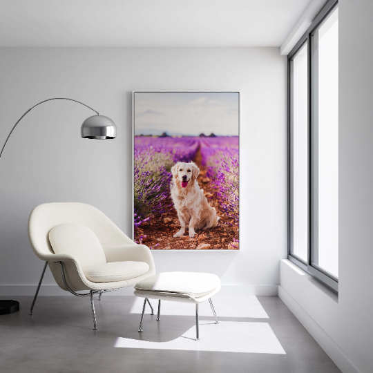 Pet Photo Print - Custom Canvas Art